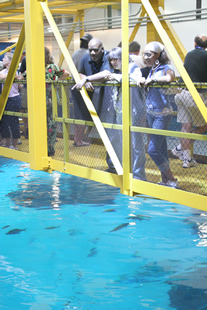 JAJF family at aquarium treating the families not the cancer 