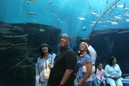 Jack and Jill Foundation family at aquarium treating the families not the cancer 