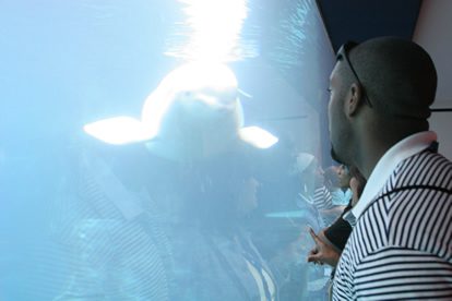 JAJF family at whale tank in aquarium treating the families not the cancer 