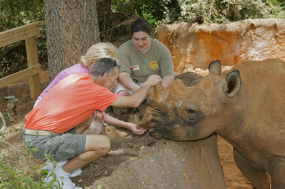 family feeding rhinoceros on JAJF trip making inheritable memories 