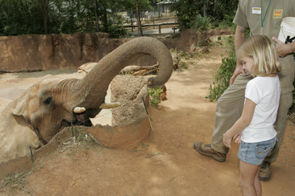 young girl meeting an elephant on a Jack and Jill Foundation trip 