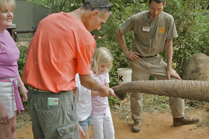 dad and daughter feeding elephant on Jack and Jill Foundation trip 