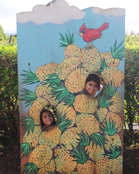 Jack and Jill Foundation sisters posing with pineapple sign 