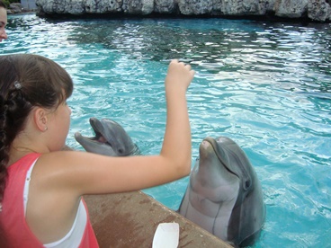 young girl feeding dolphins making inheritable memories 