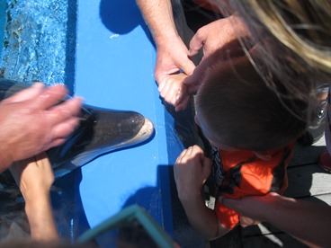 Quigley Family photo