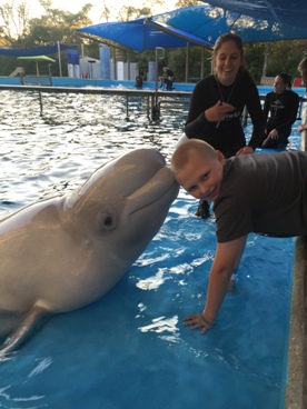boy being kissed by beluga whale during a JAJF WOW experience 