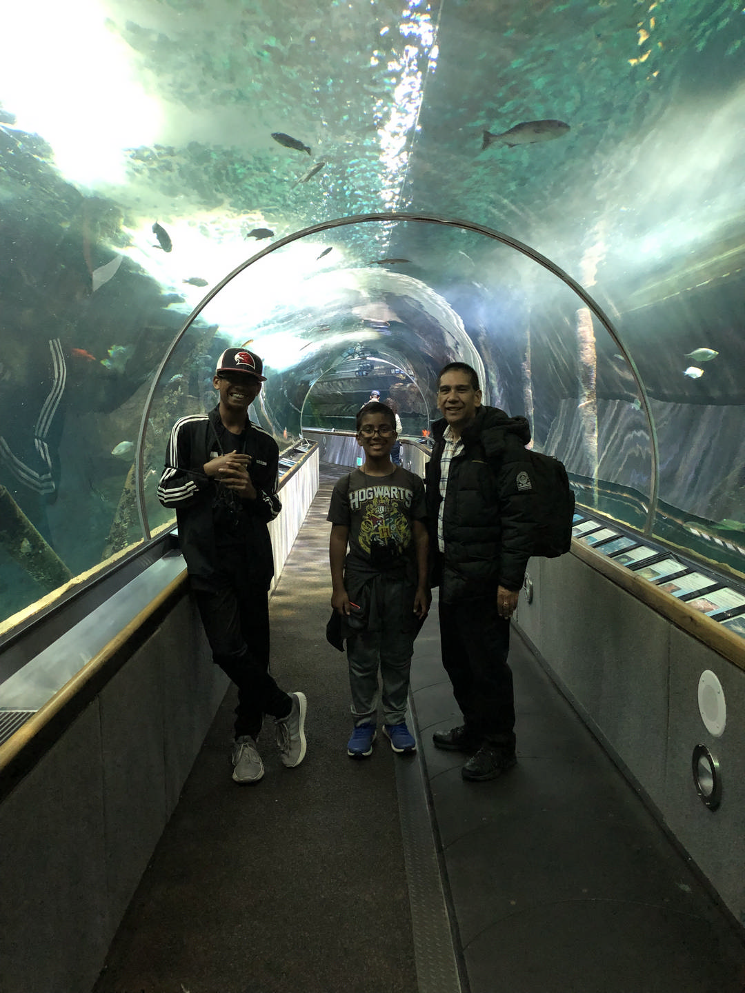 siblings in aquarium tunnel enjoying a JAJF break from late stage cancer 