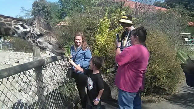 family feeding giraffe at the zoo during a Jack and Jill Foundation WOW experience 