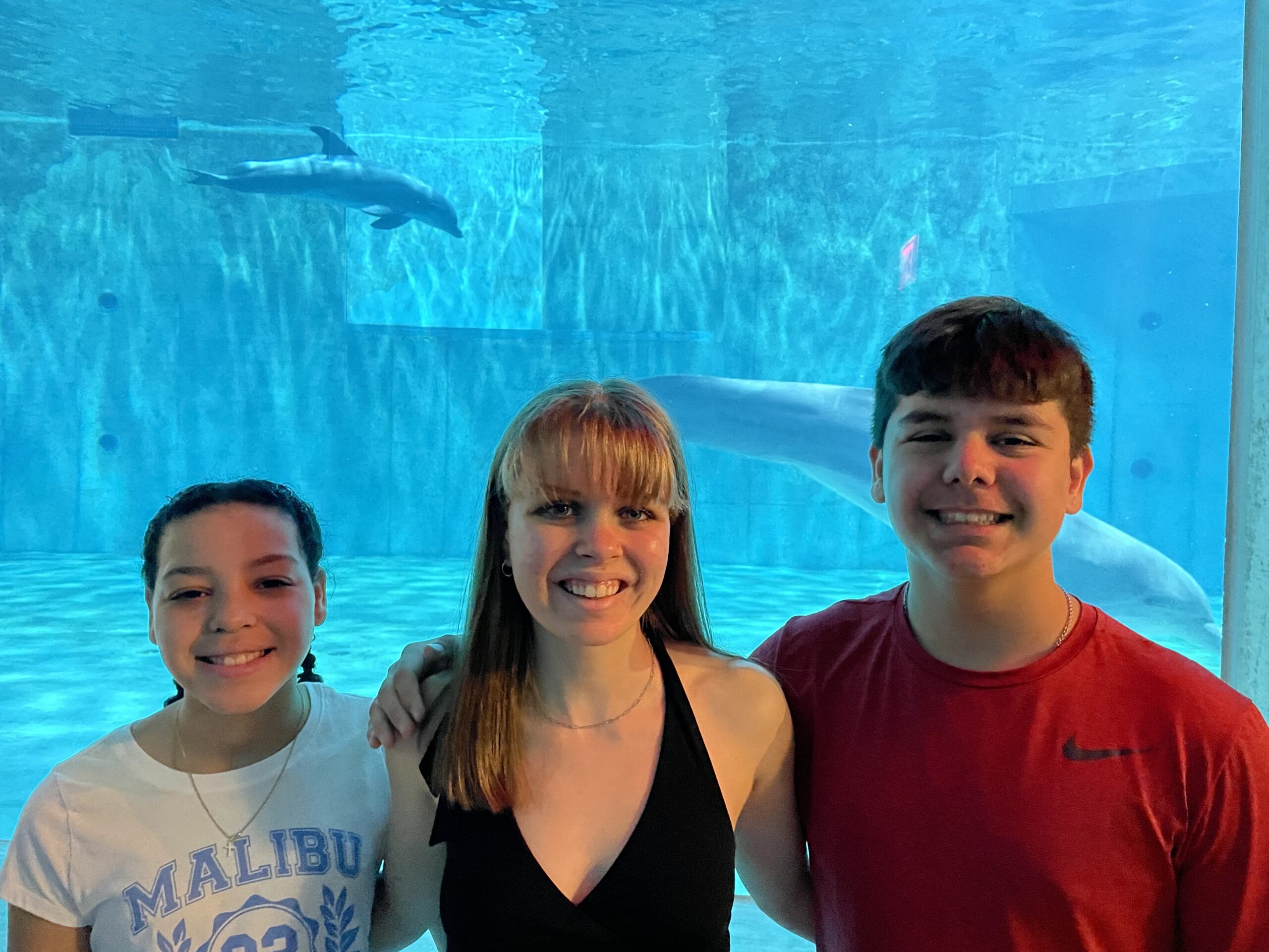 Anderson Family  photo