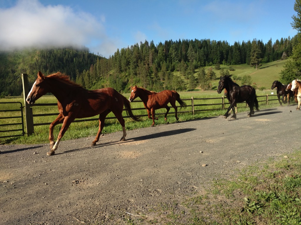 2017-06-19-07-32-34-1 