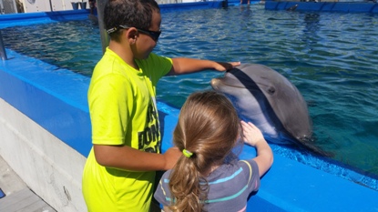 798173353004_910190319004_14615185 