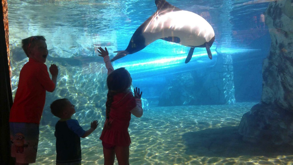 file-feb-14-4-27-02-pm 