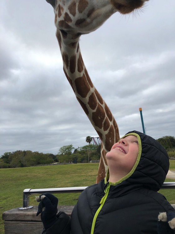 young girl looking up at giraffe on a JAJF WOW experience 