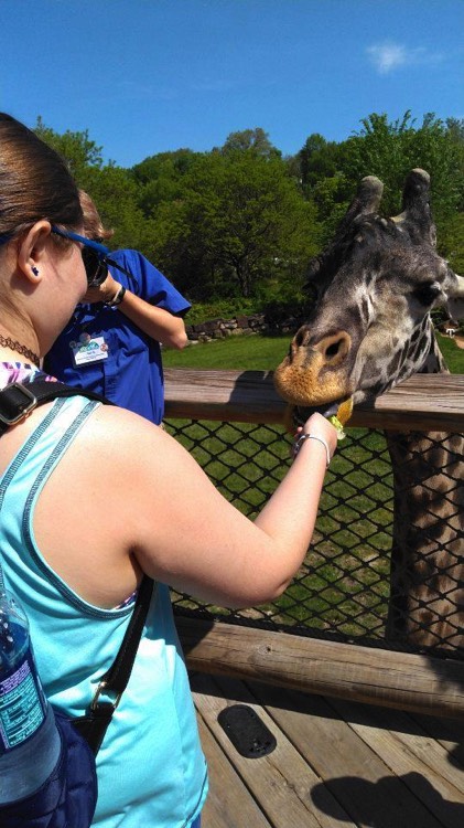 JAJF woman feeding giraffe enjoying a break from late stage cancer 