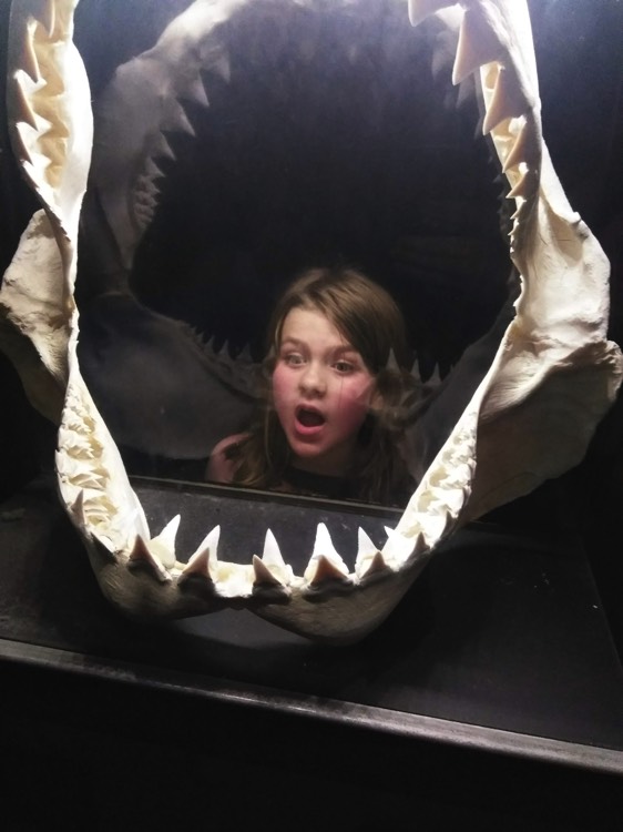 JAJF girl in shark jaw skeleton  