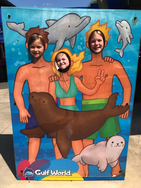 photo-aug-12-3-23-46-pm 