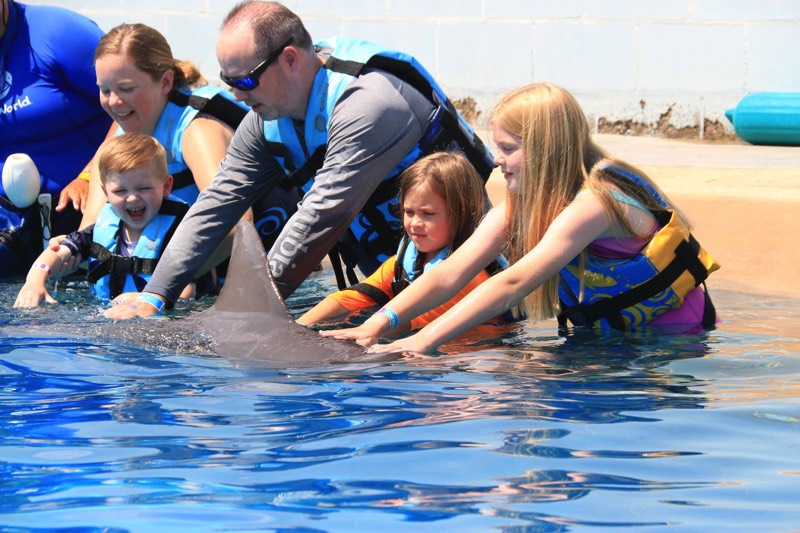 photo-aug-14-4-04-27-pm 