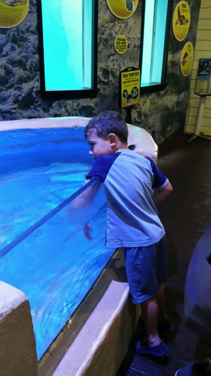 photo-dec-03-2-11-50-am 